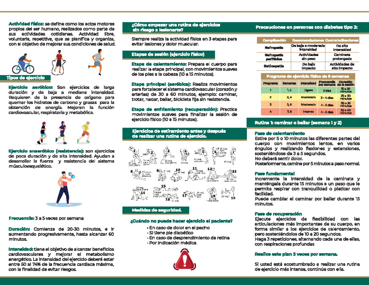 20 Tríptico Actividad física D - Actividad física: se define como los