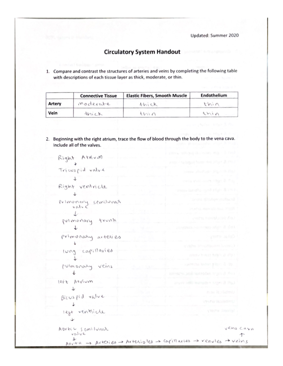 By 124 Lab 2 - lab manual - BY 124L - Studocu