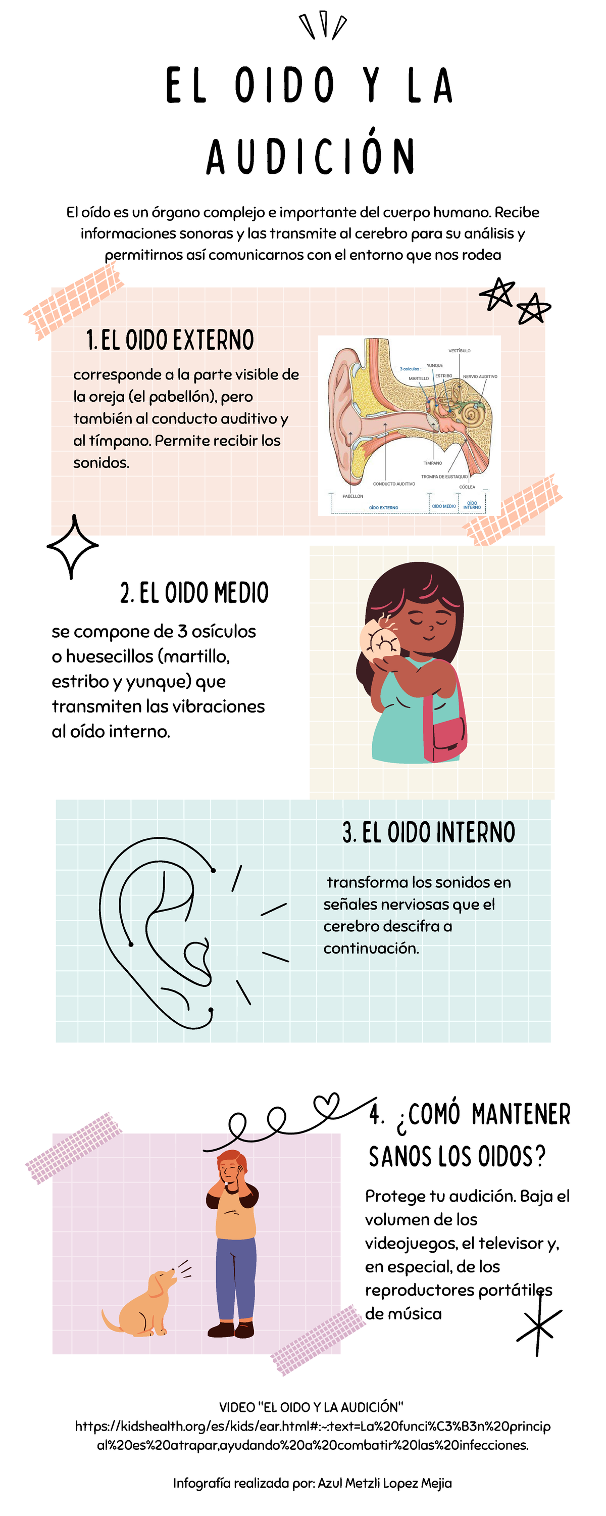 El Oido Y La Audicion Infografía De Edición De Audio E L O I D O Y