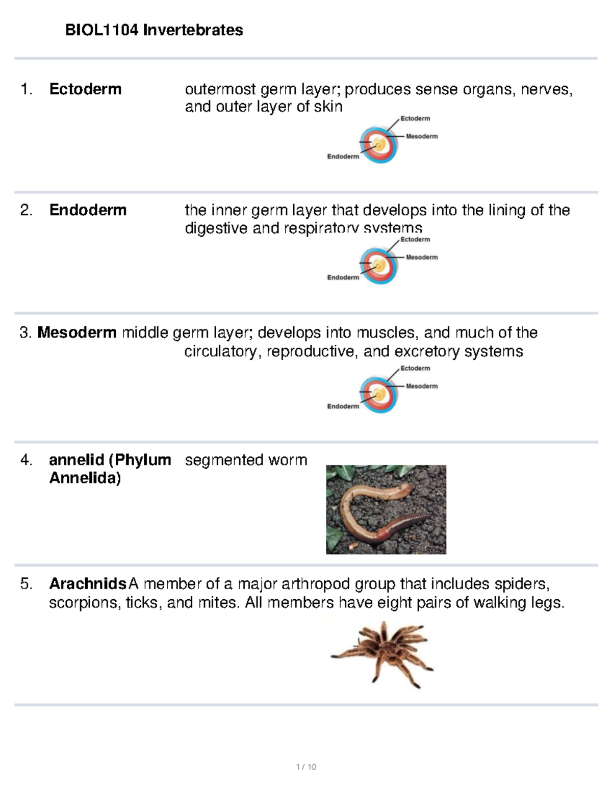 Biol1104 Invertebrates notes - Mesoderm middle germ layer; develops ...