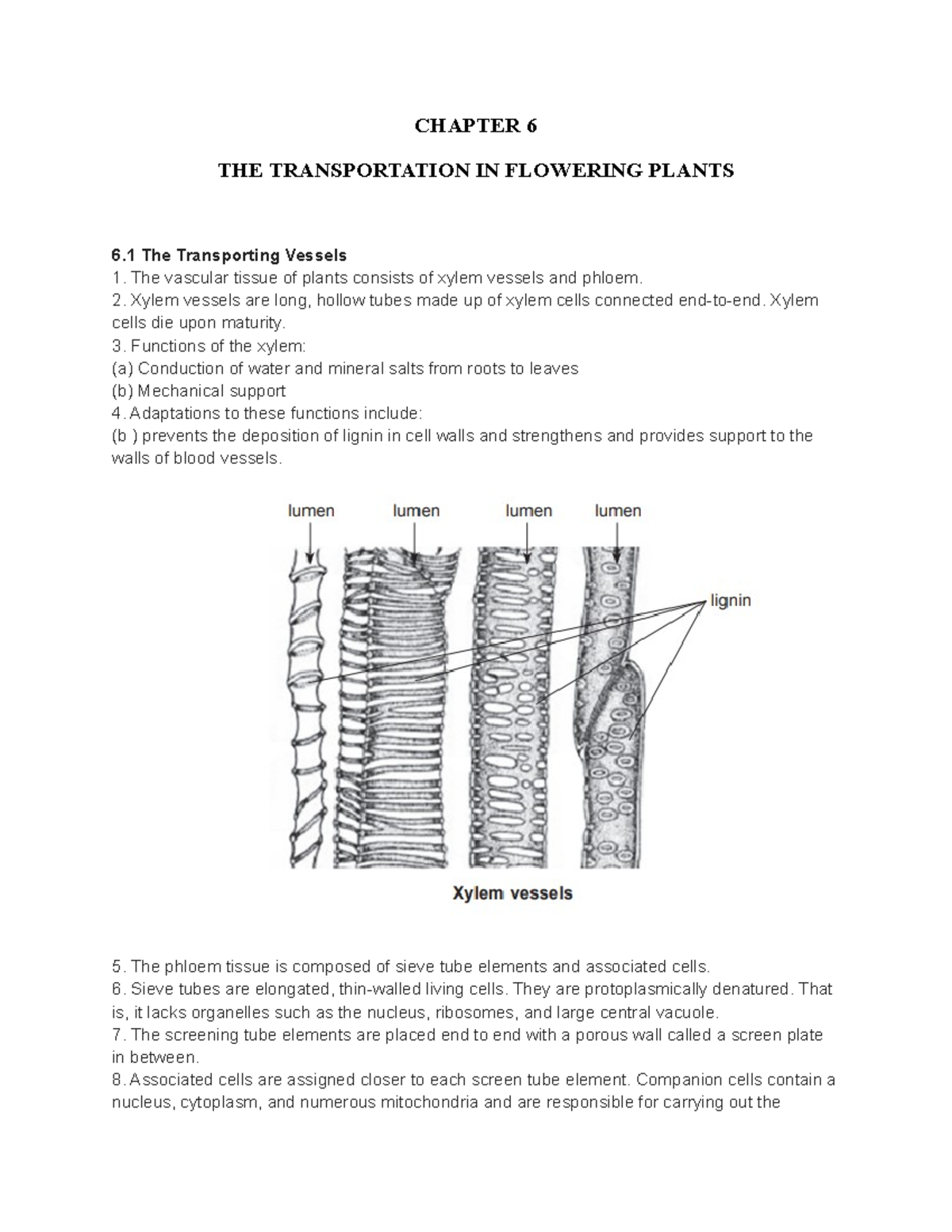 Chapter 6 The Transportation In Flowering Plants - Chapter 6 The 