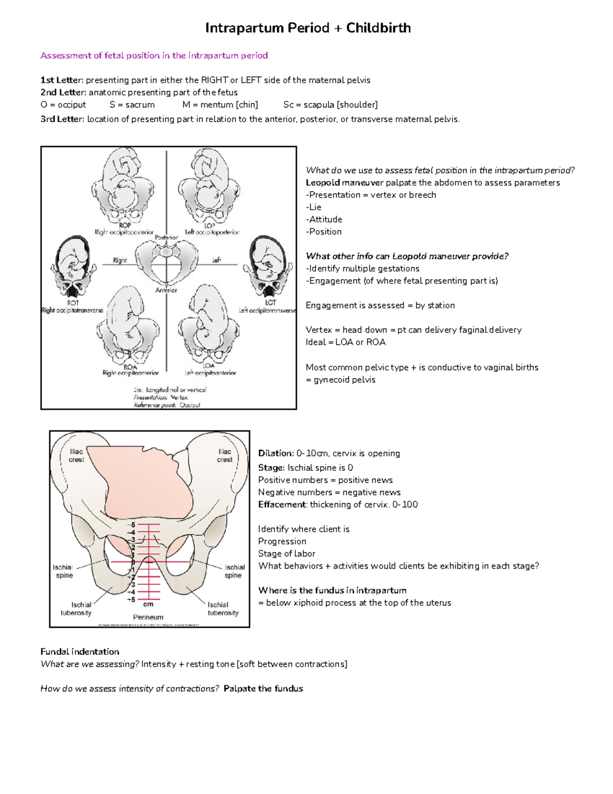 Intrapartum Period + Childbirth - Intrapartum Period + Childbirth ...