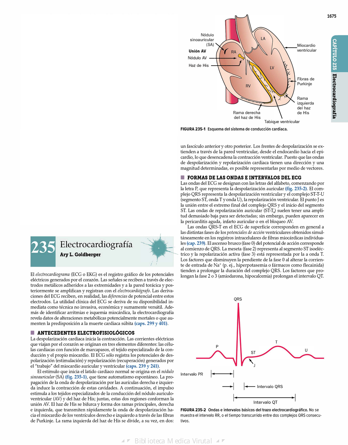 Lectura de electrocardiograma - Electrocardiografía Nódulo ...