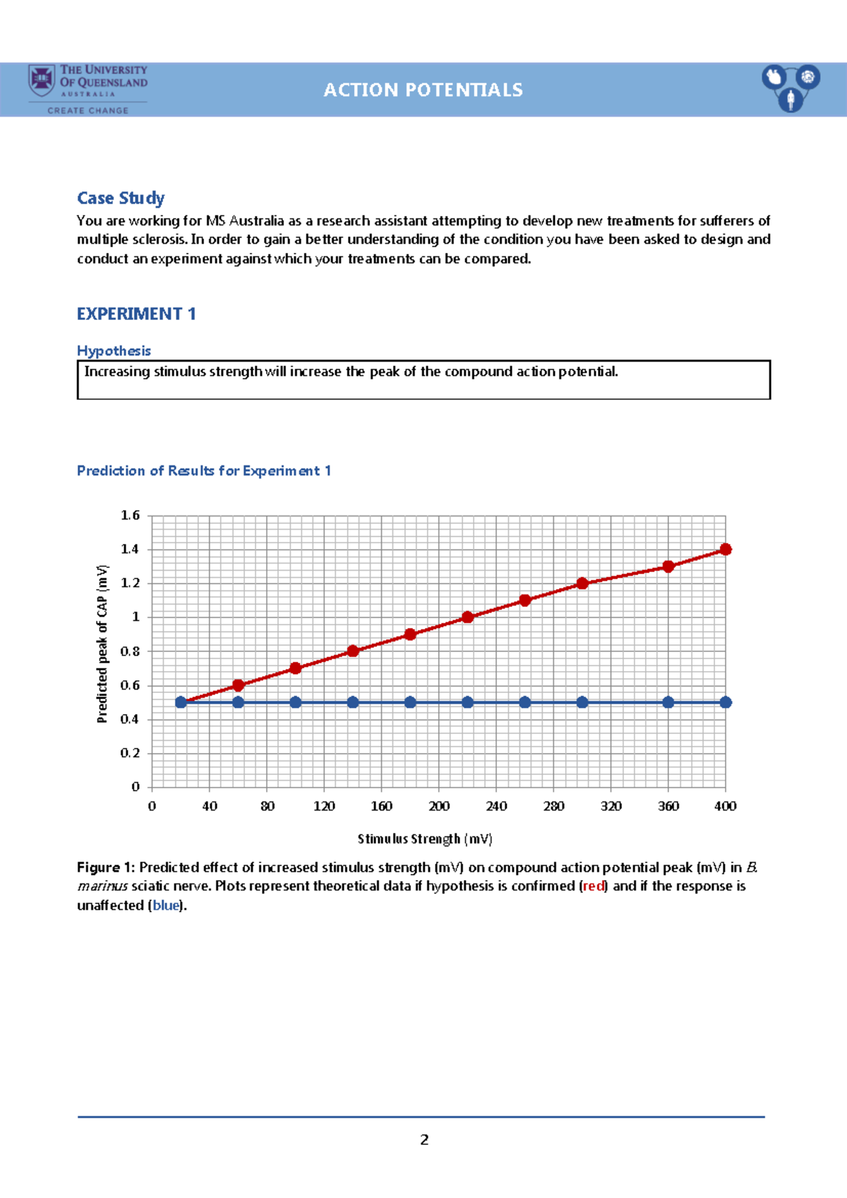 Action Potential Report finalll - Case Study You are working for MS ...