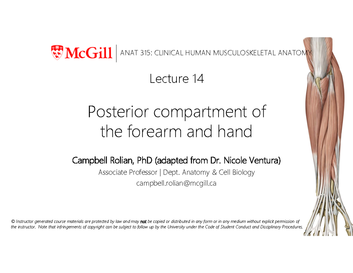 Lec 14 Posterior Forearm and Hand Lecture 14 Posterior
