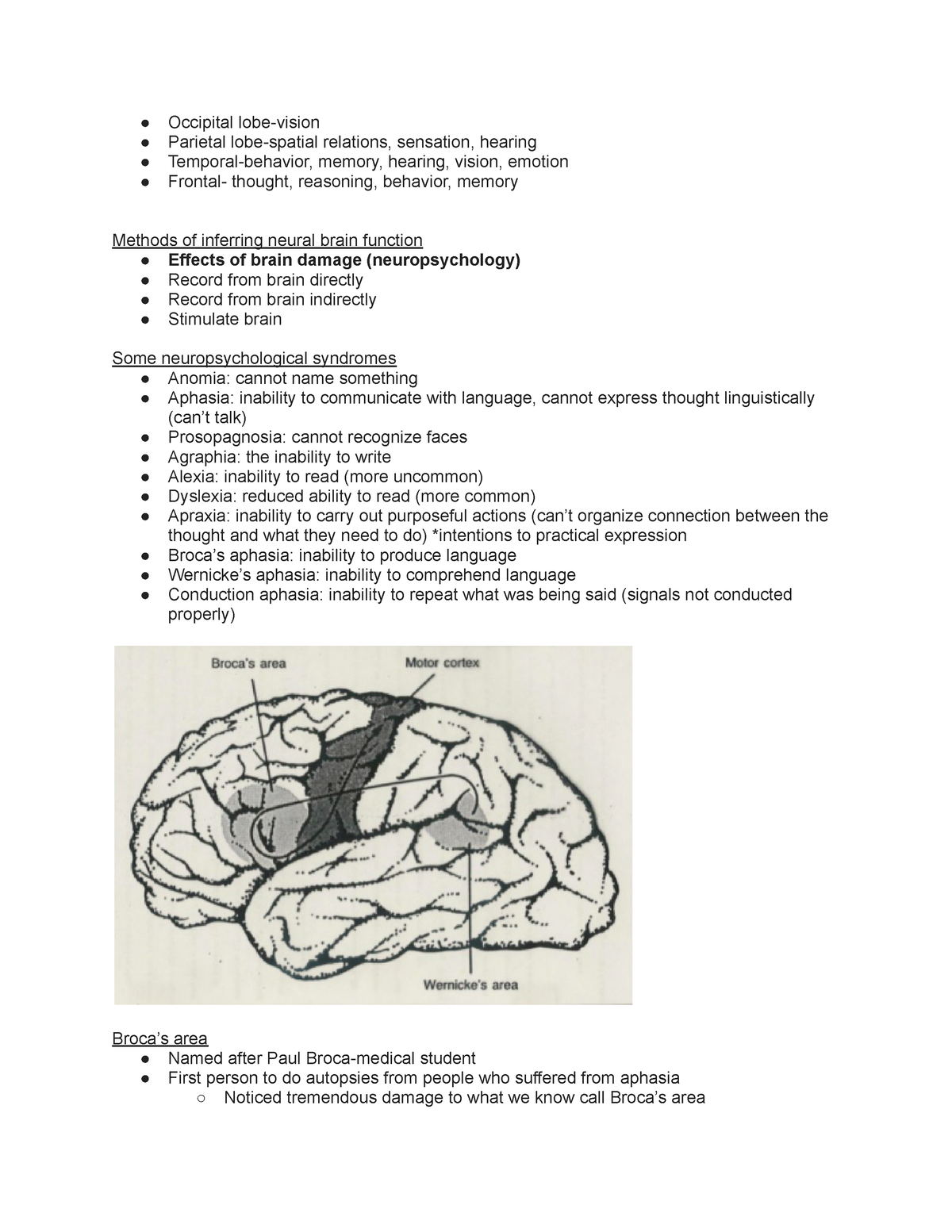 Psyc001 Lecture Notes Part 2 Occipital Lobe Vision Parietal Lobe Spatial Relations Sensation 1045