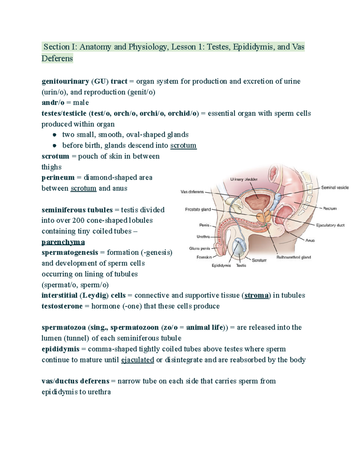 Module 9 - This is from the online Elsevier class about Medical ...