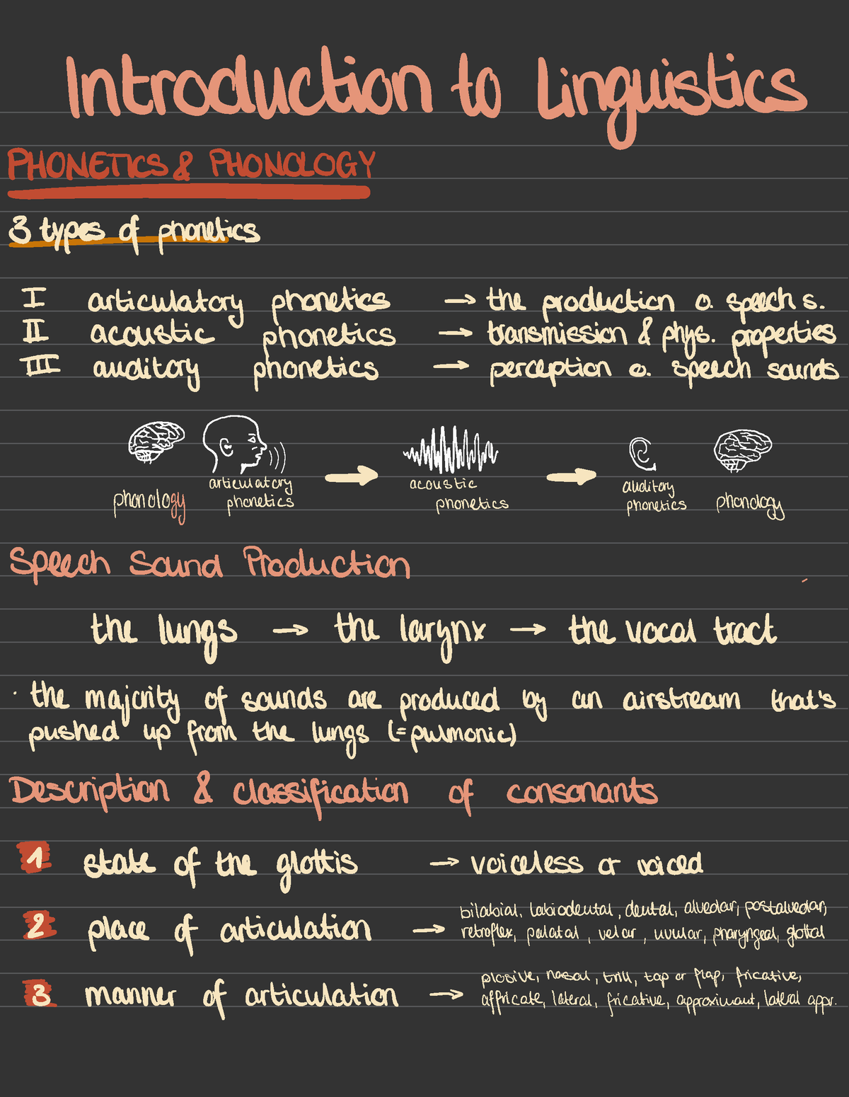 essay about introduction to linguistics