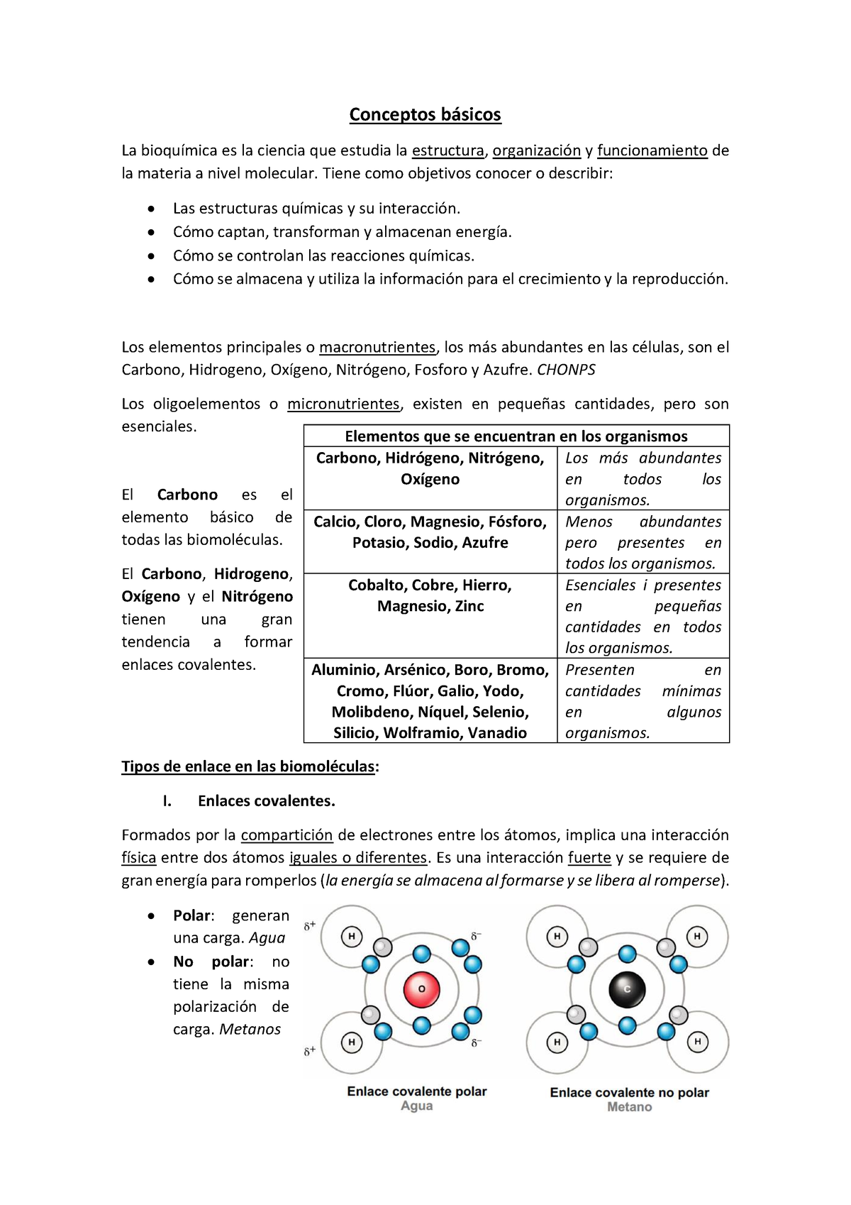 01 Conceptos Básicos - Microbiologia - Conceptos B·sicos La BioquÌmica ...