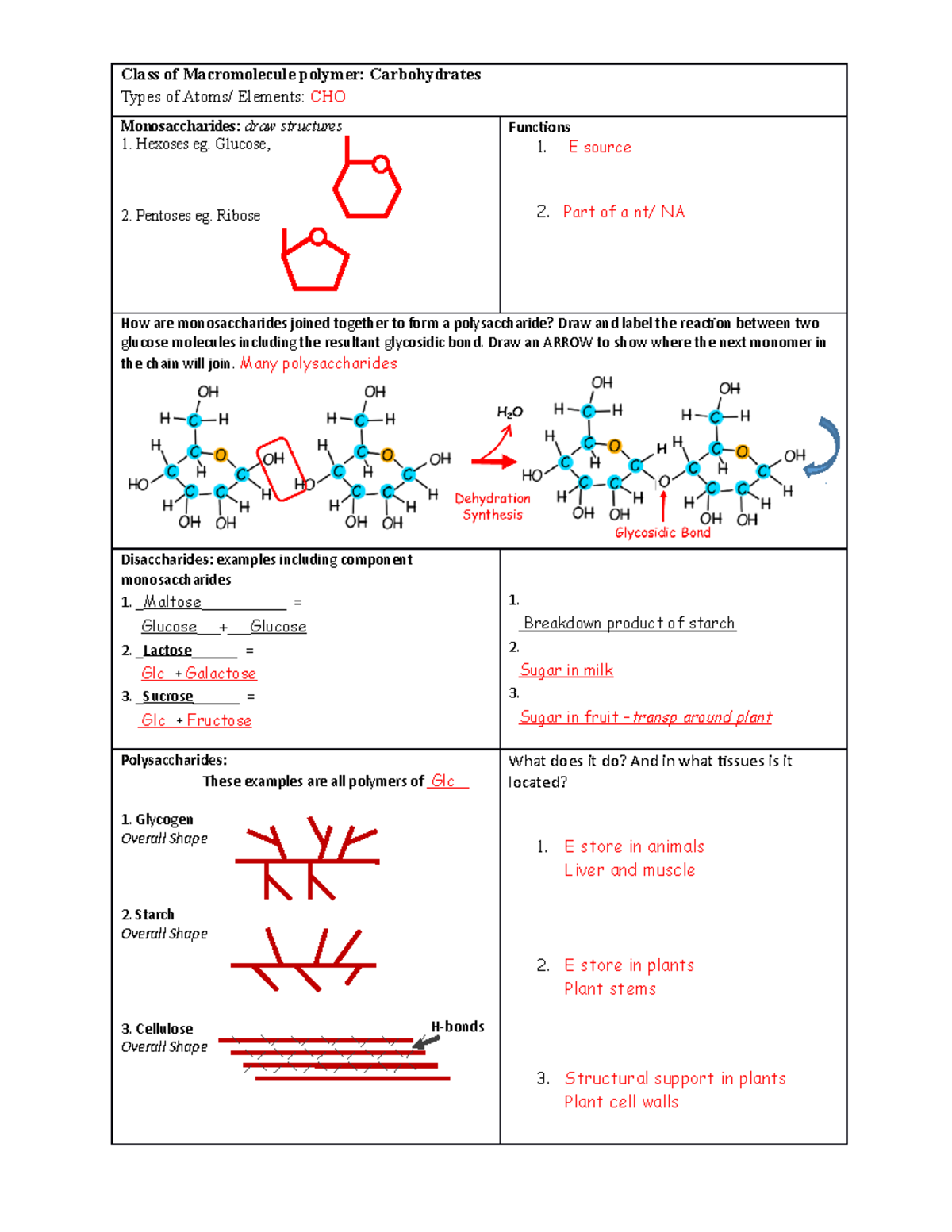 Ho B Class of Macromolecule Chart MS Class of Macromolecule polymer