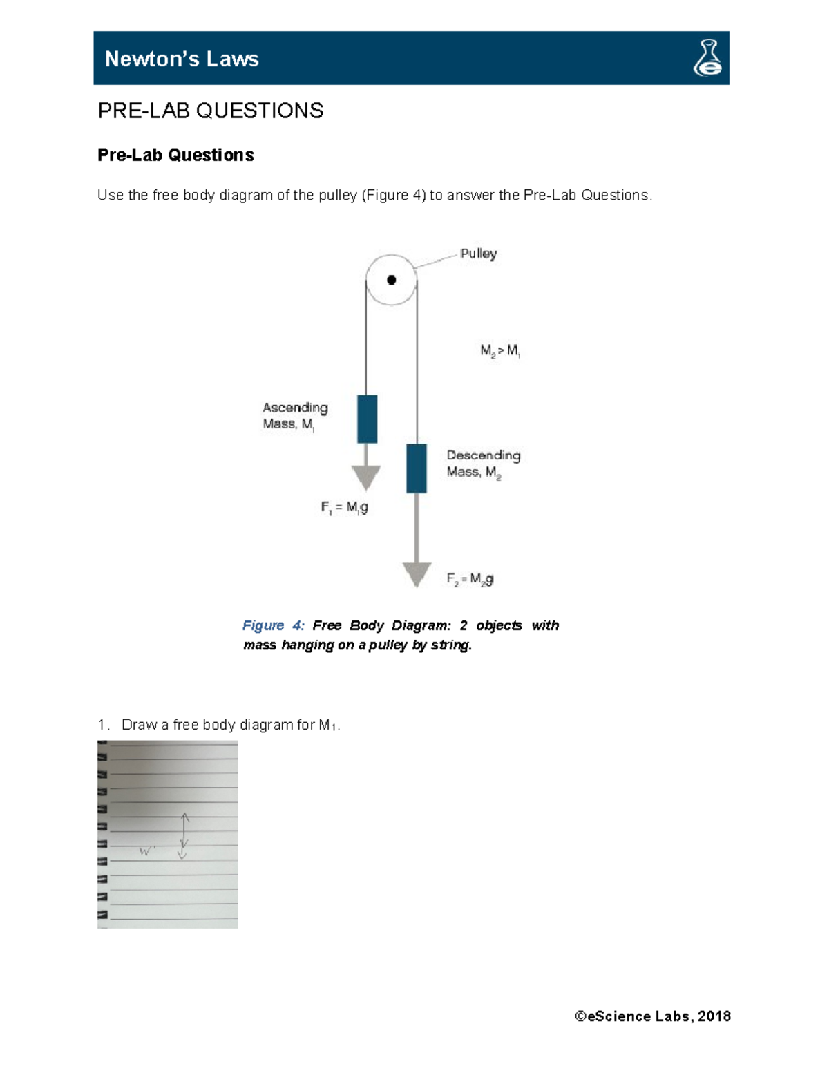 Lab 8Newtons Laws physical science lab 8 PRELAB QUESTIONS PreLab