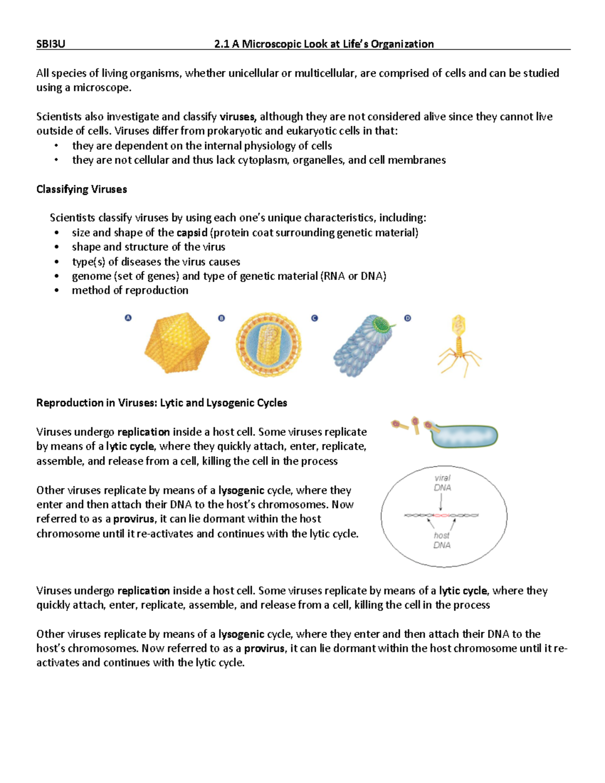 BIO: Chapter 2 Notes - **SBI3U 2 A Microscopic Look at Life’s ...