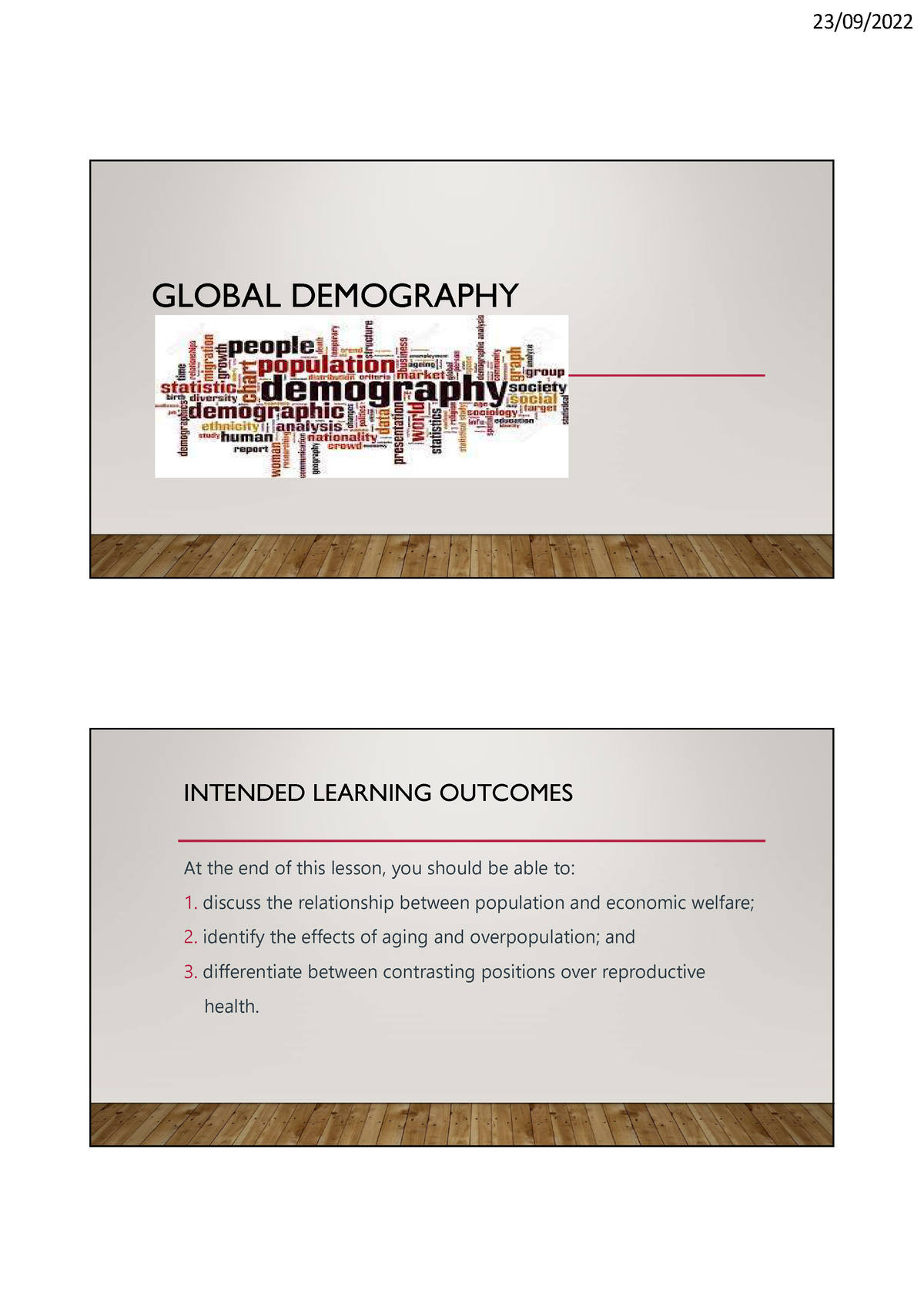 essay about global demography