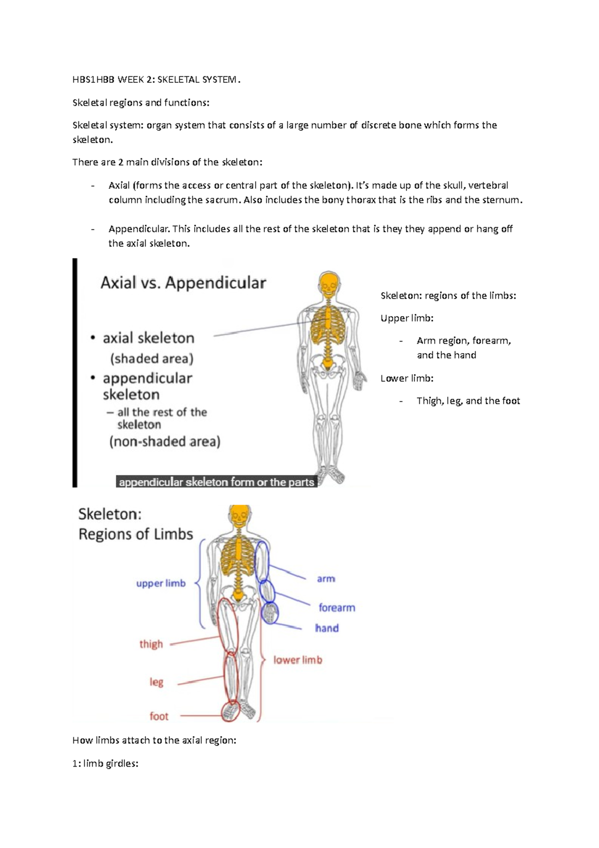 HBS1HBB WEEK 2 - Human Biosciences Week 2- Notes - HBS1HBB WEEK 2 ...