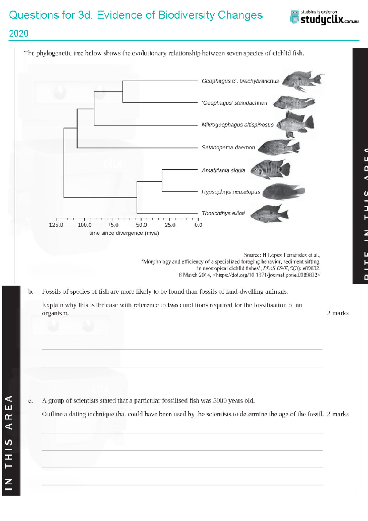 Questions-for-evolution patterns of biological change for year 12 ...