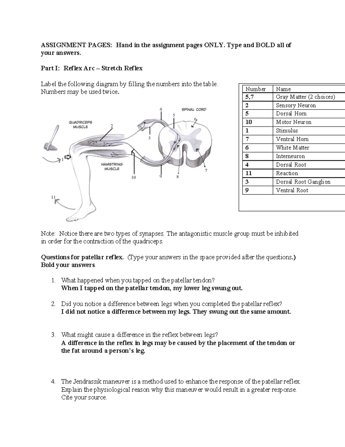 A&p lab 2 finished - laboratory assignment - ASSIGNMENT PAGES: Hand in ...