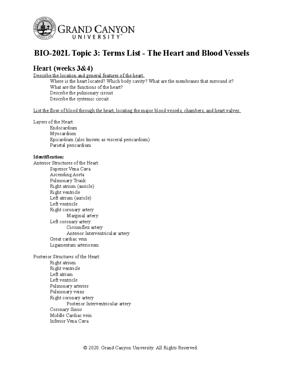 Topic 3 Terms Heart And Blood Vessels - BIO-202L Topic 3: Terms List ...