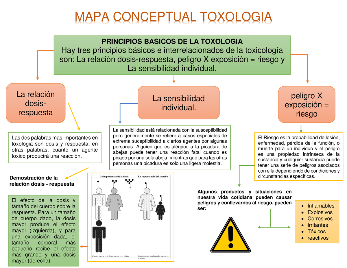 SOLUTION: Mapa mental toxicologia - Studypool