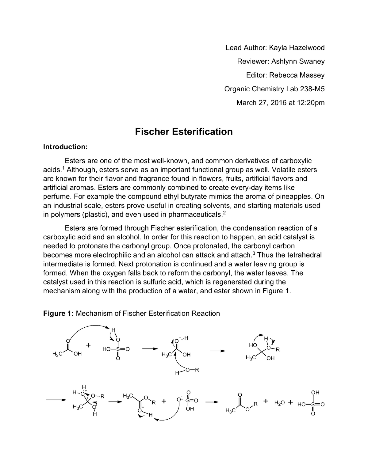fischer esterification mechanism