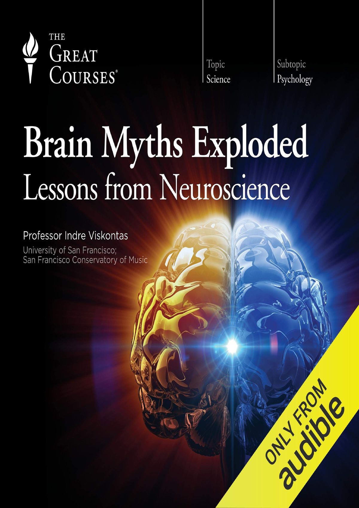 Epub Brain Myths Exploded: Lessons From Neuroscience - Brain Myths ...