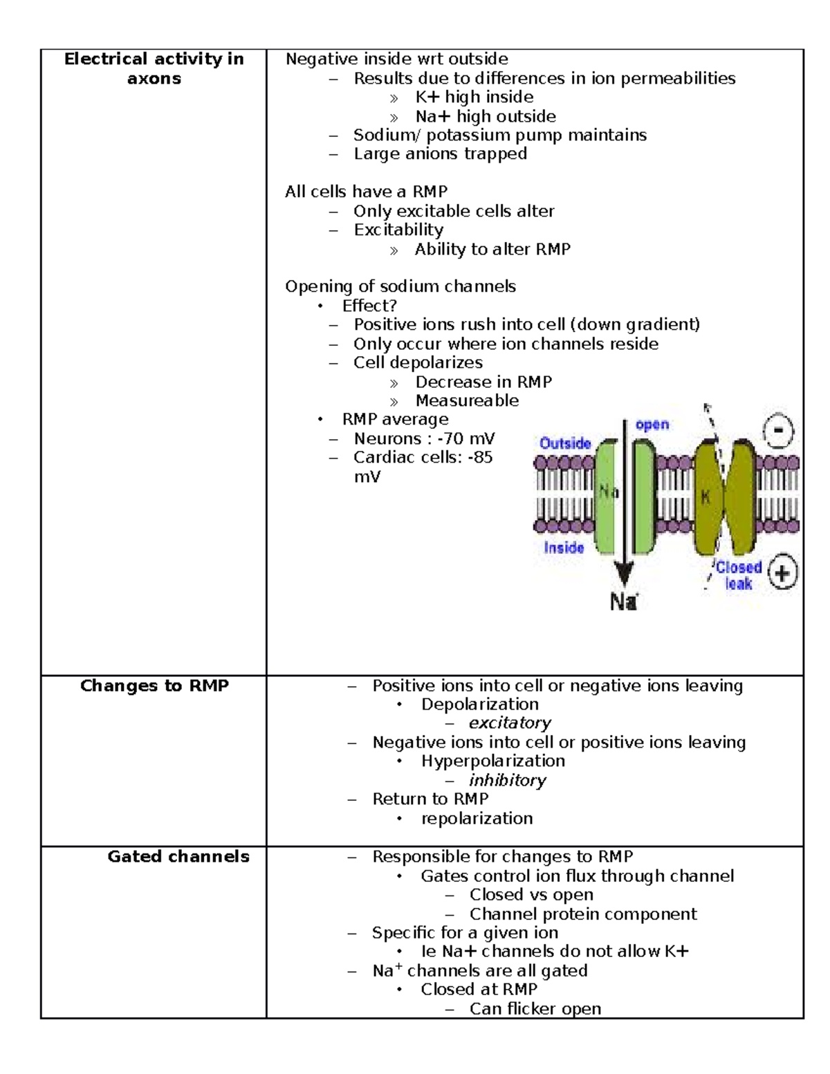 Week 2 ppt - outline of topics - Electrical activity in axons Negative ...