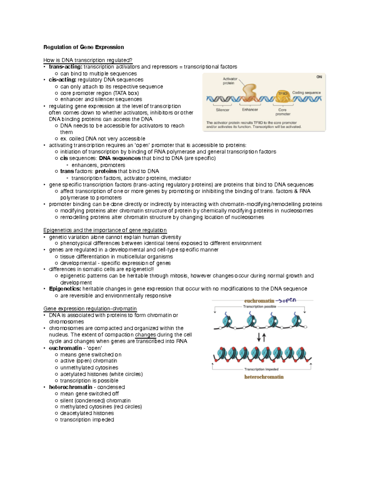 Study Note Week 3 - Regulation of Gene Expression How is DNA ...