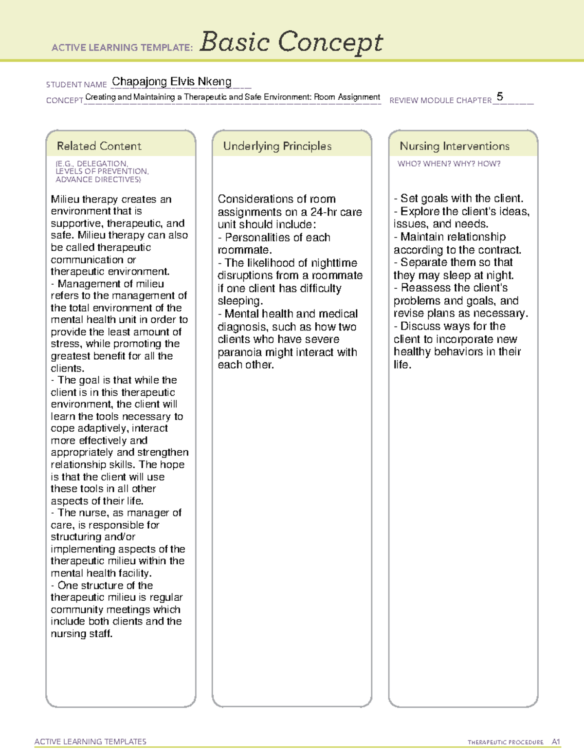 Therapeutic Environment - Basic Concept - ACTIVE LEARNING TEMPLATES