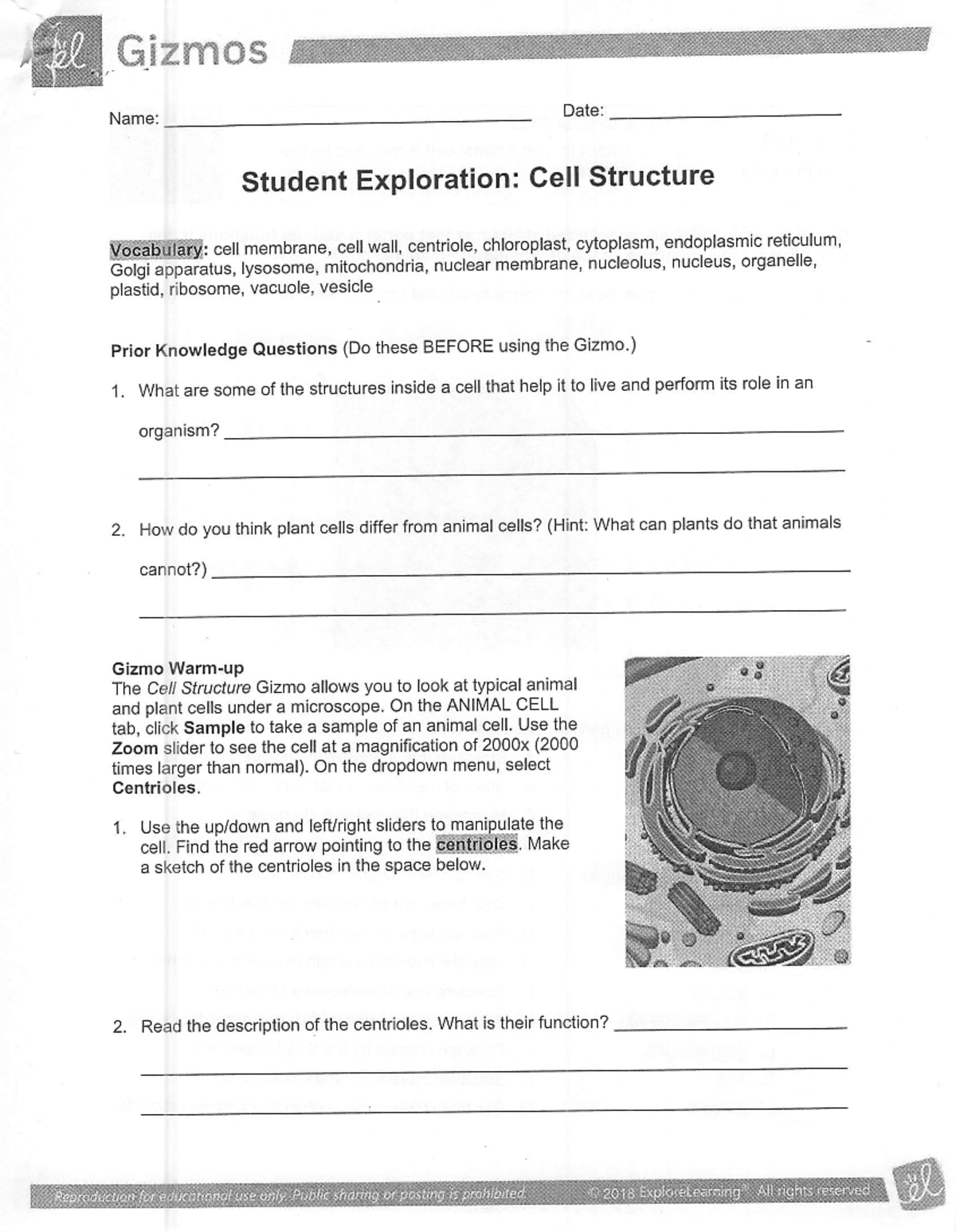 Cell Structure Gizmo - Name: student Exploration: Cell Structure ...