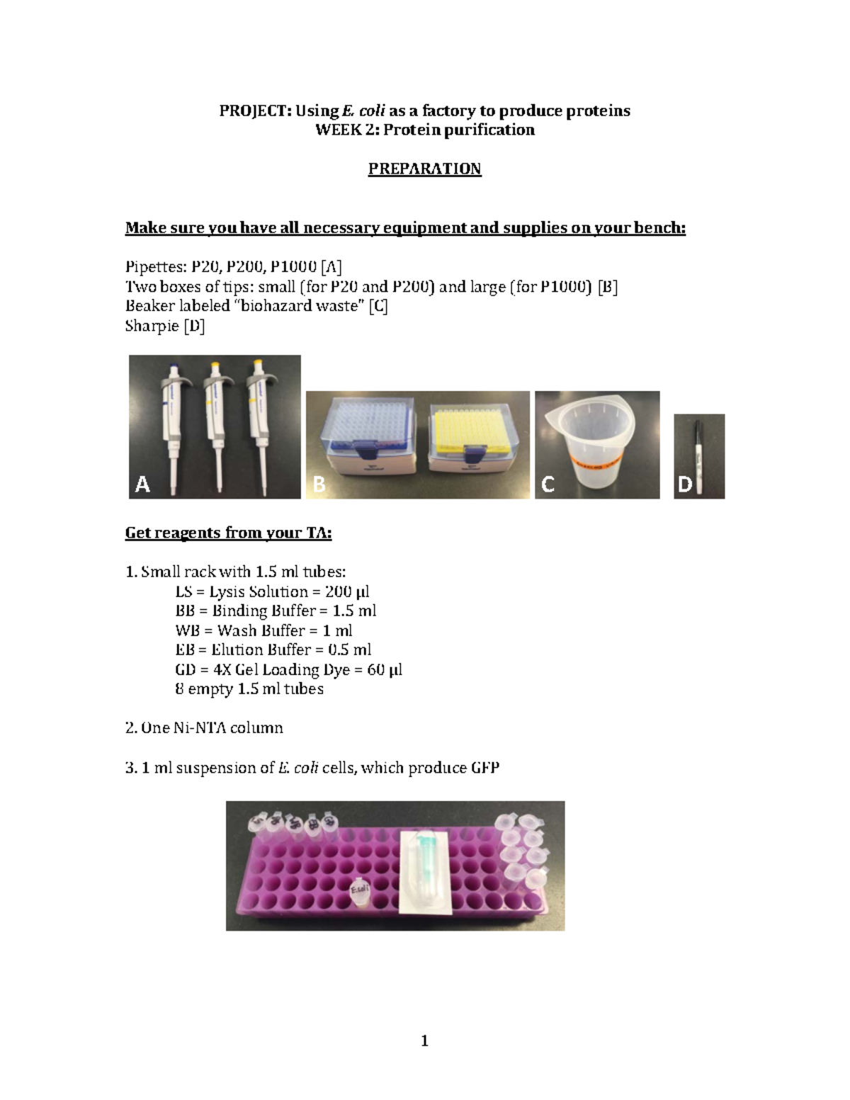 LABGFP WEEK 2 Protocol PROJECT Using E. coli as a factory to