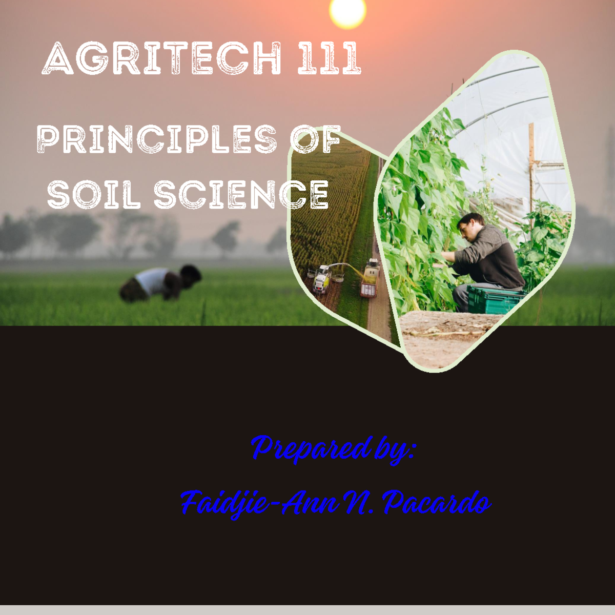1 None Definition Fields of Specialization in Soil Science