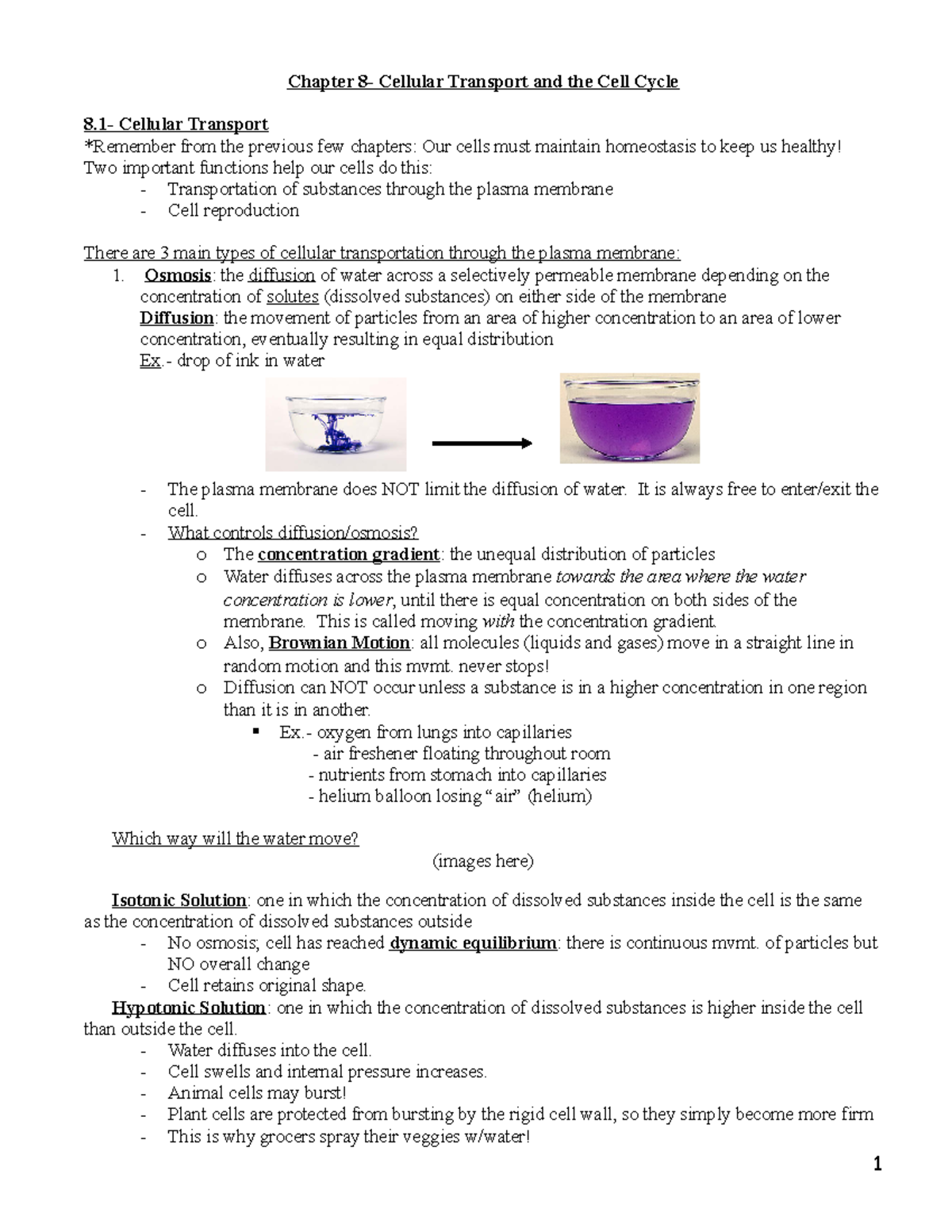 Bio Chp.8 Notes - Gateway To Biology: Molecular Biology - Chapter ...