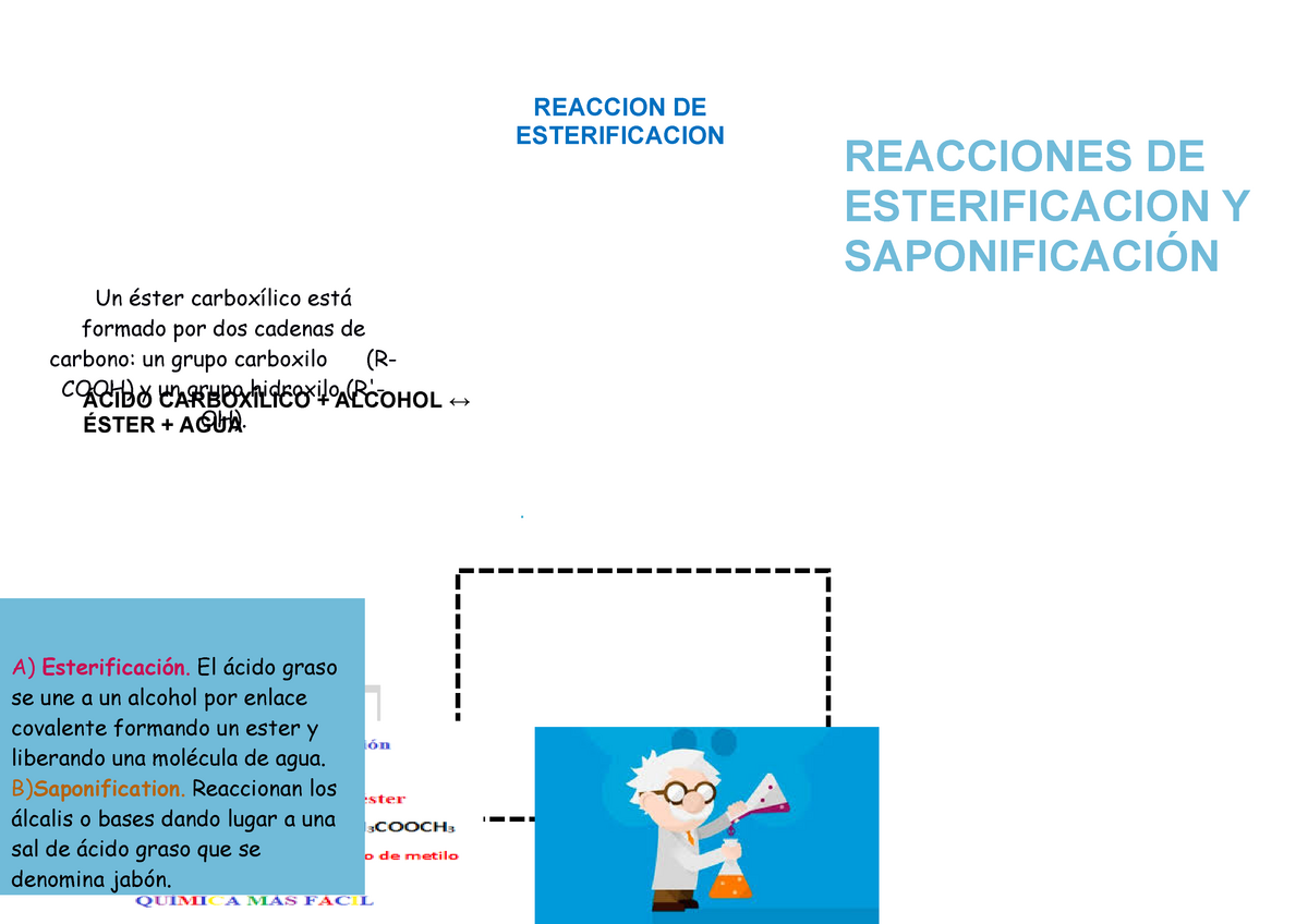 Tema 15 Apuntes 15 Esterificacion Y SaponificaciÓn Hemos Incluido Algunas Sugerencias En La 4111