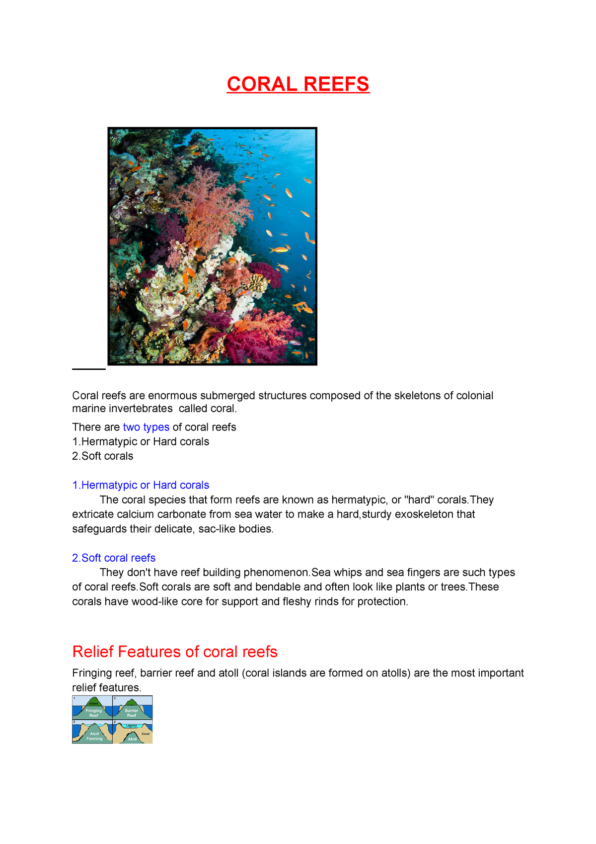 GR3B05 Coral Reefs - Geography Lecture Notes On Oceanography - CORAL ...