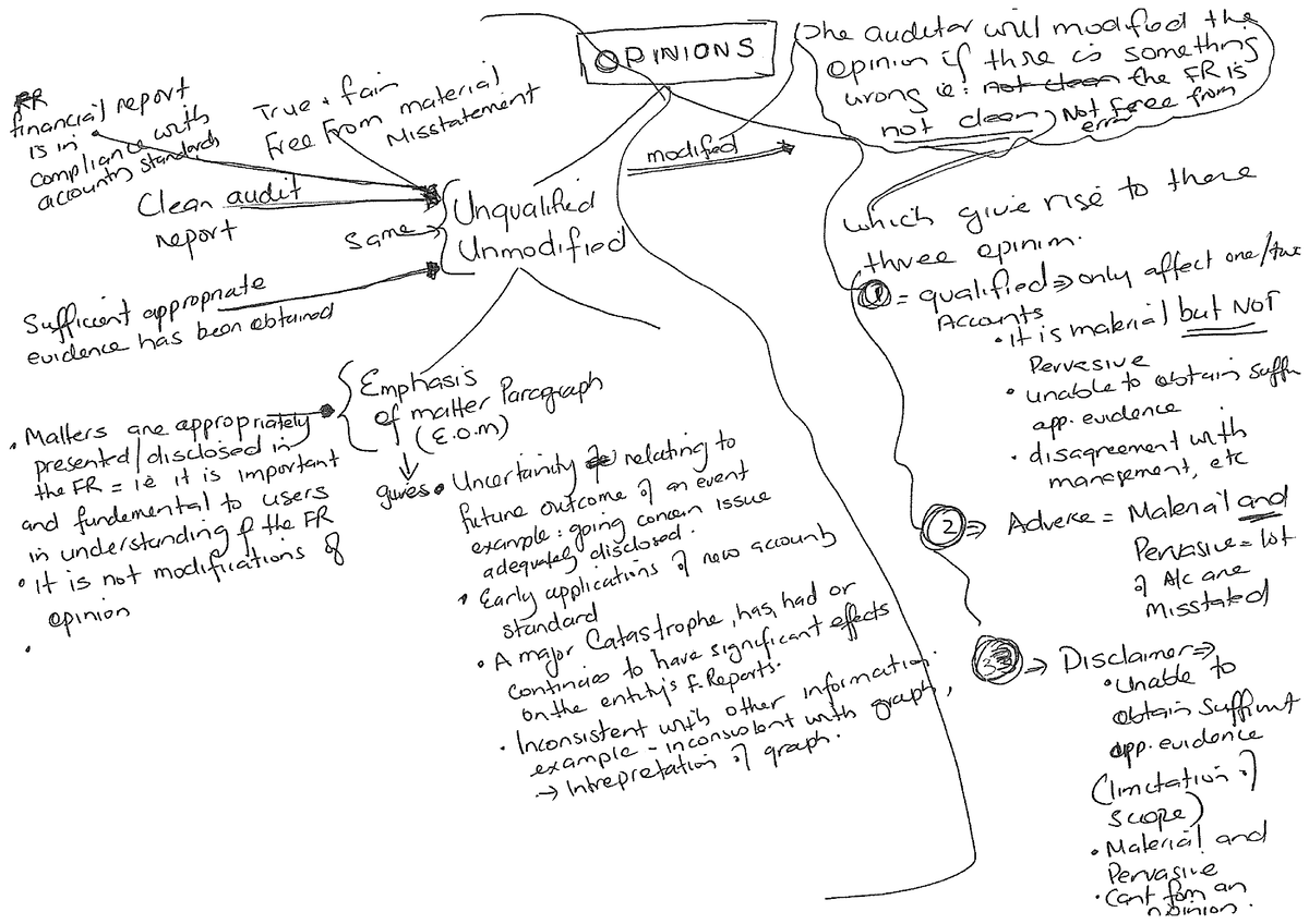 Opinions mind map - Audit - 200535 - Studocu