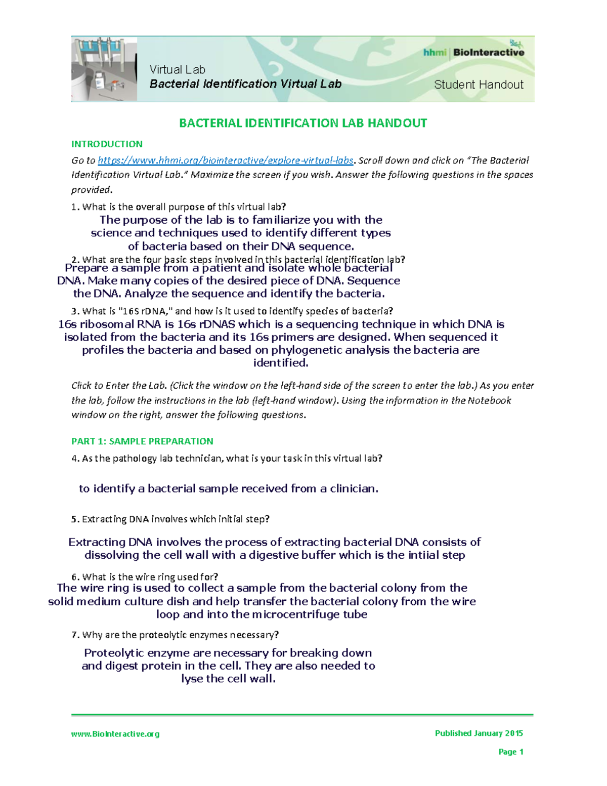HHMI Bacterial Identification Lab BioInteractive Published January