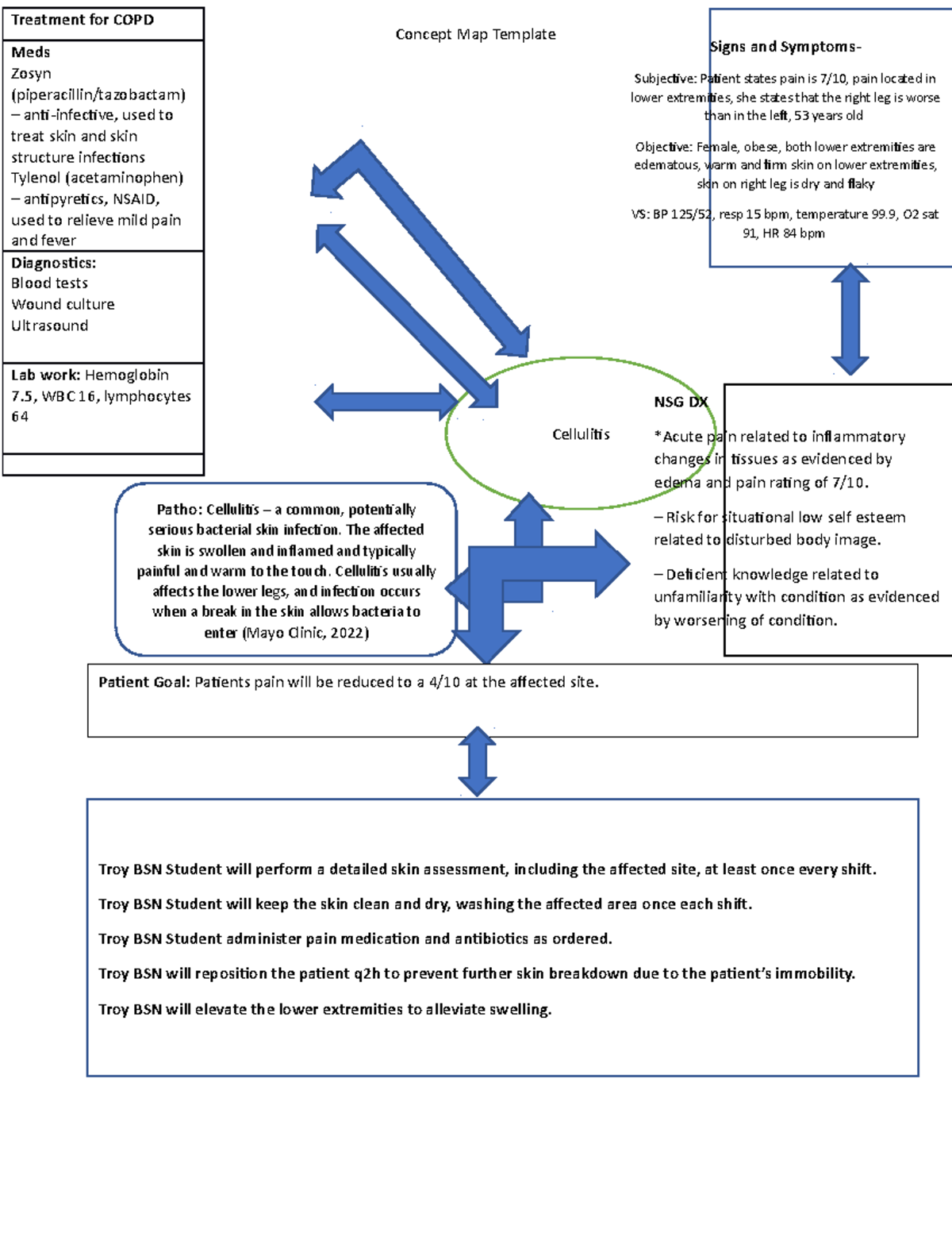 Ah 3rd Clinical Concept Map Cellulitis Concept Map Template Signs And Symptoms Subjective 7518