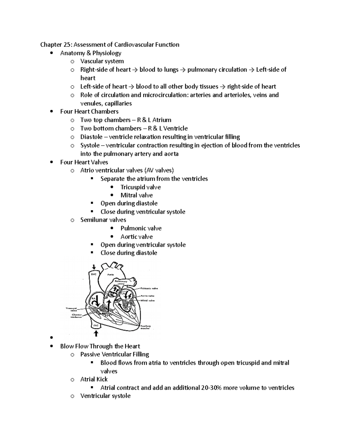 chapter-25-med-surg-chapter-25-assessment-of-cardiovascular-function