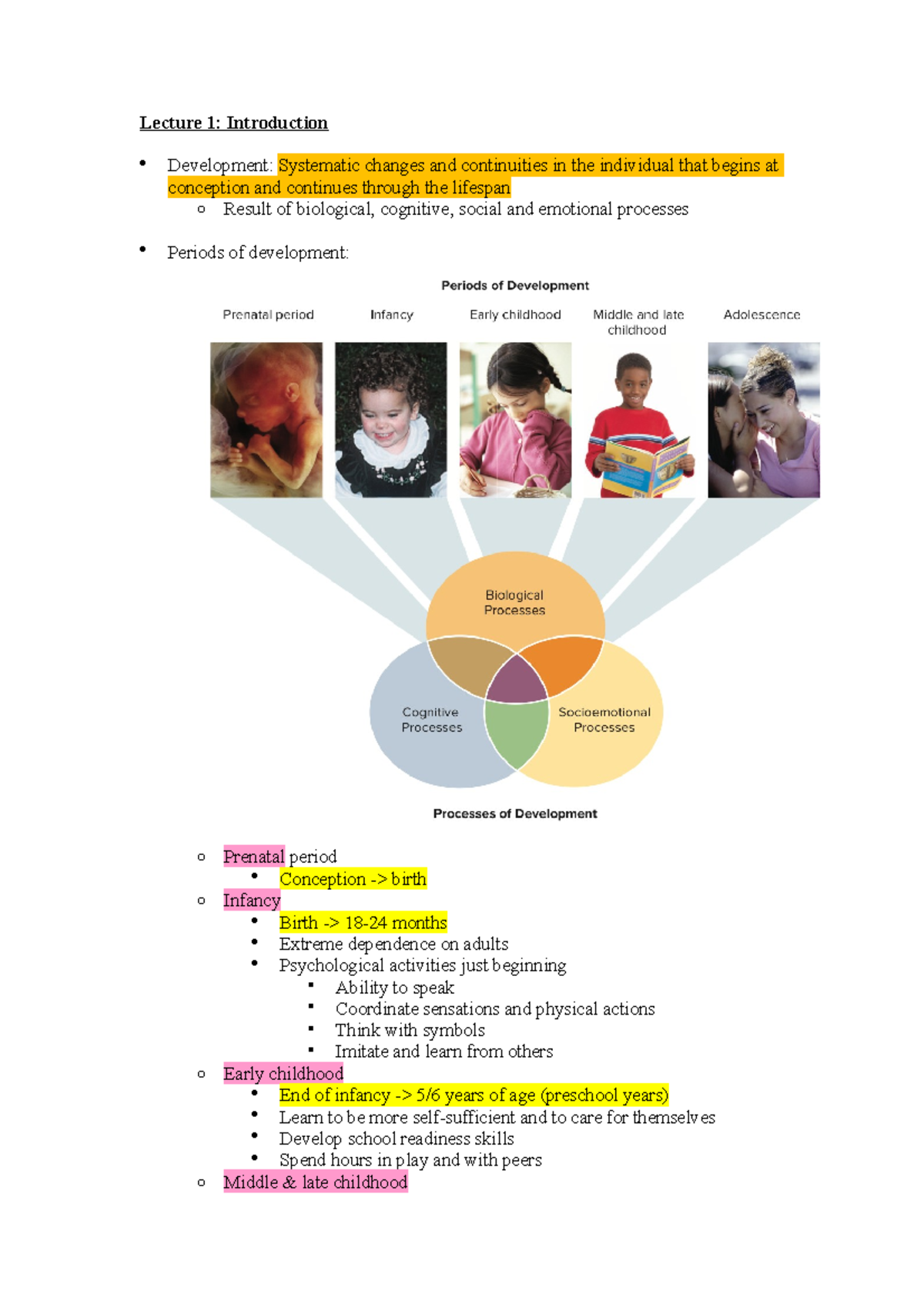 Biological cognitive and socioemotional processes hotsell