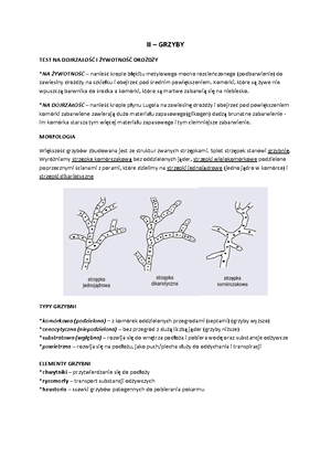 Zagadnienia Do Kolokwium - Procesy Biologicznego Utleniania: Anabolizm ...