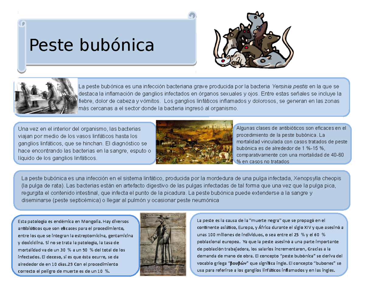 Infografia de la peste bubonica La peste es la causa de la "muerte
