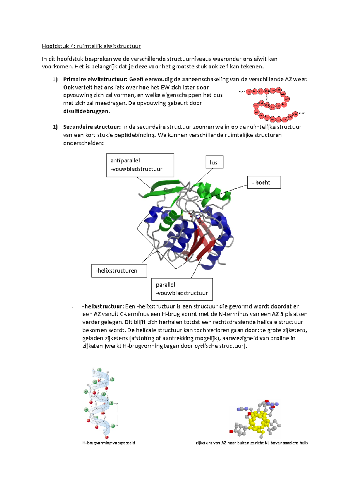 Samenvatting Biochemie 2020-2021 Thomas More - Biochemie - Thomas More ...