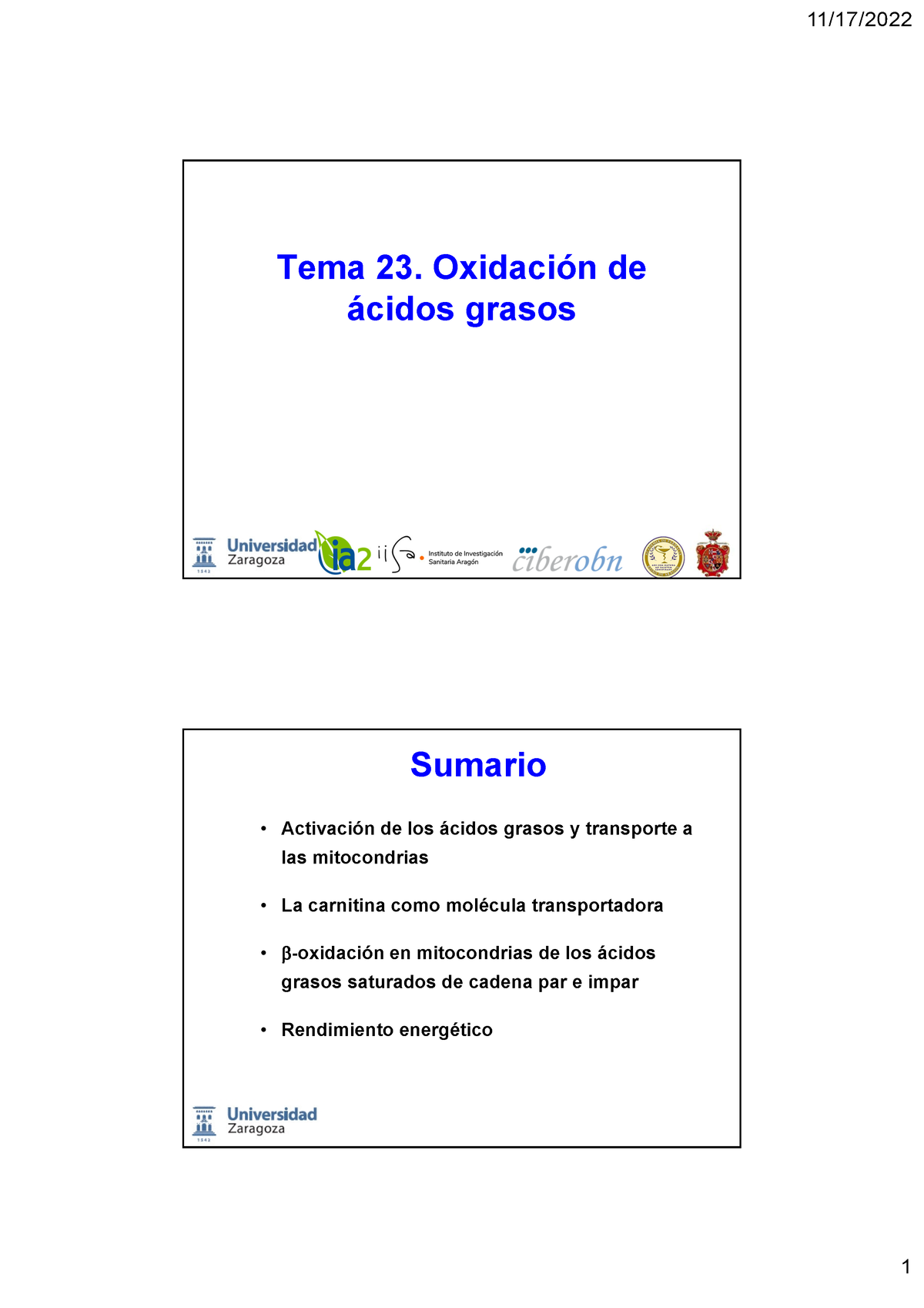 Tema 23 Oxidación De Los Ã¡cidos Grasos - Tema 23. Oxidación De ácidos ...