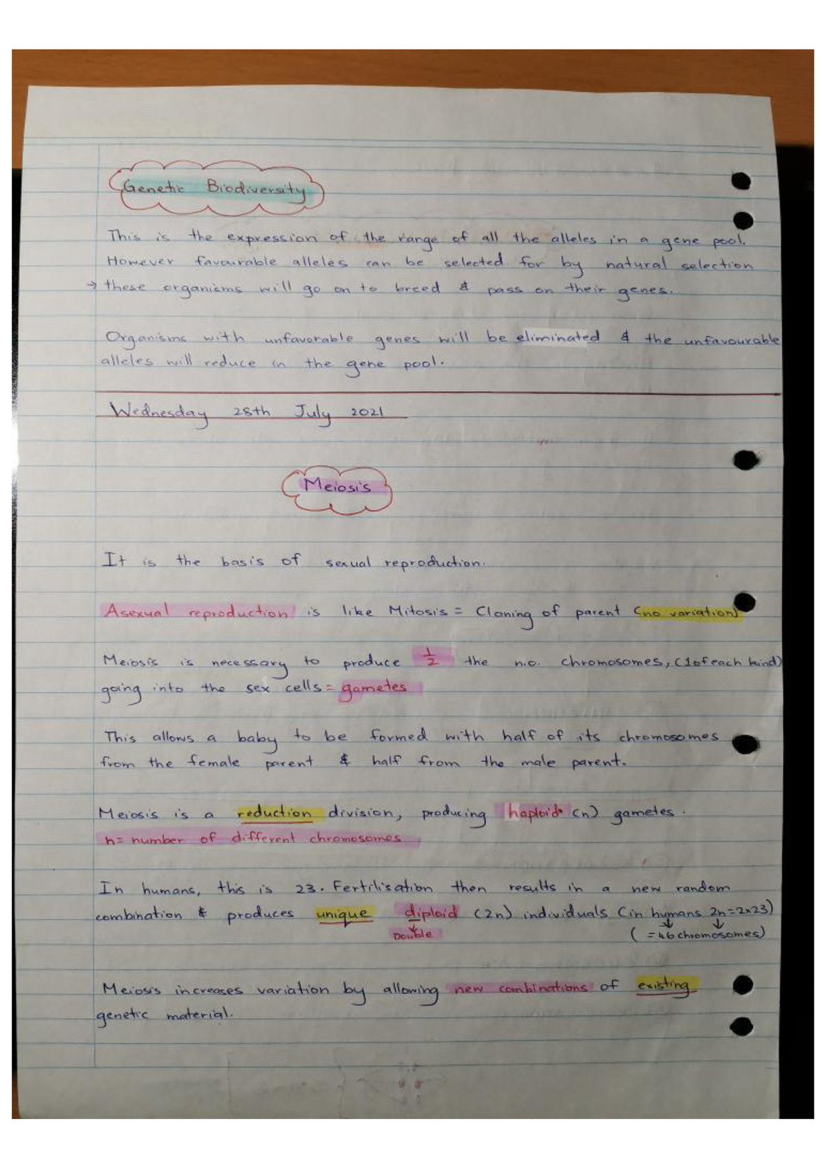 ncea-l2-genetic-variation-notes-pt-2-biology-studocu