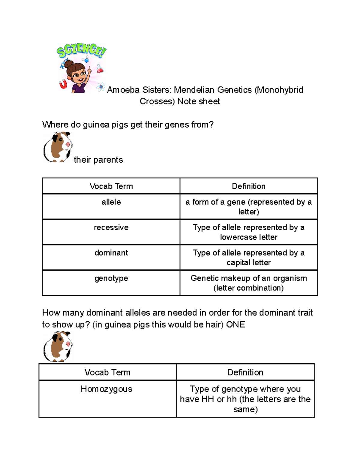 Answer Key for Amoeba Sisters Mendelian (Monohybrid Crosses