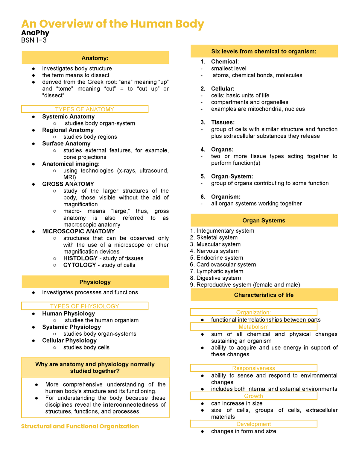 An Overview Of The Human Body Anaphy Reviewer - An Overview Of The ...