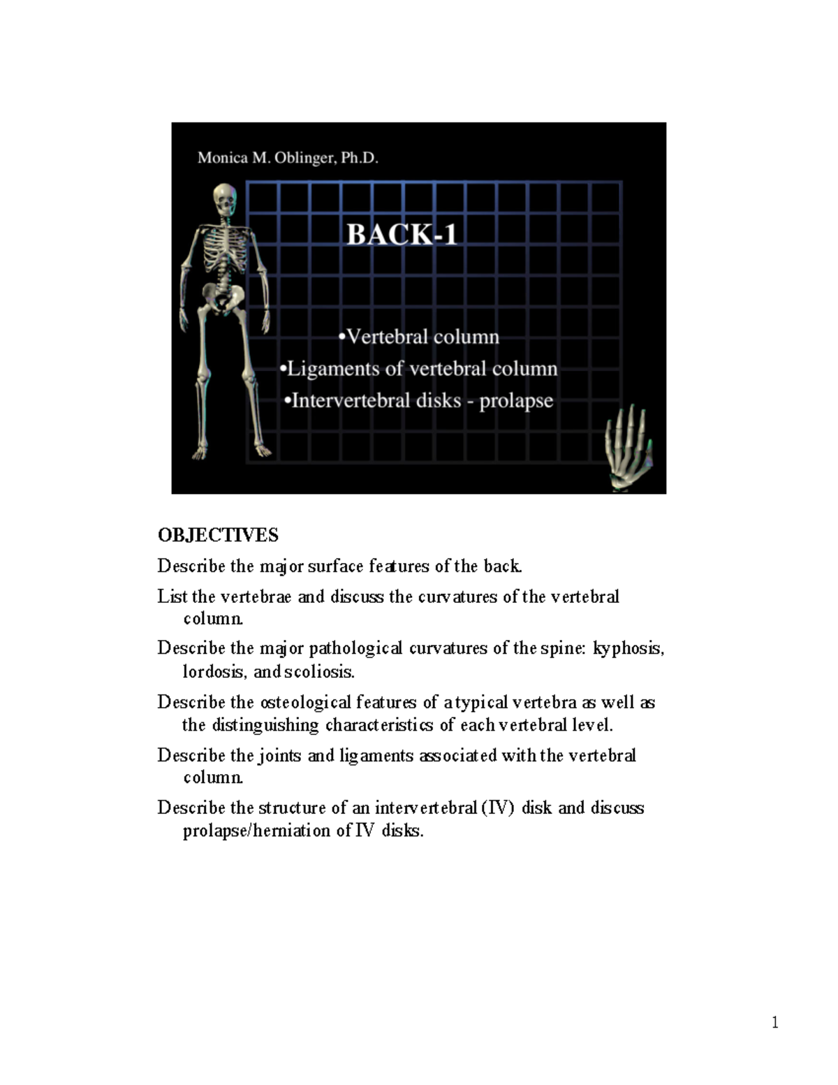 anatomy-back1-objectives-describe-the-major-surface-features-of