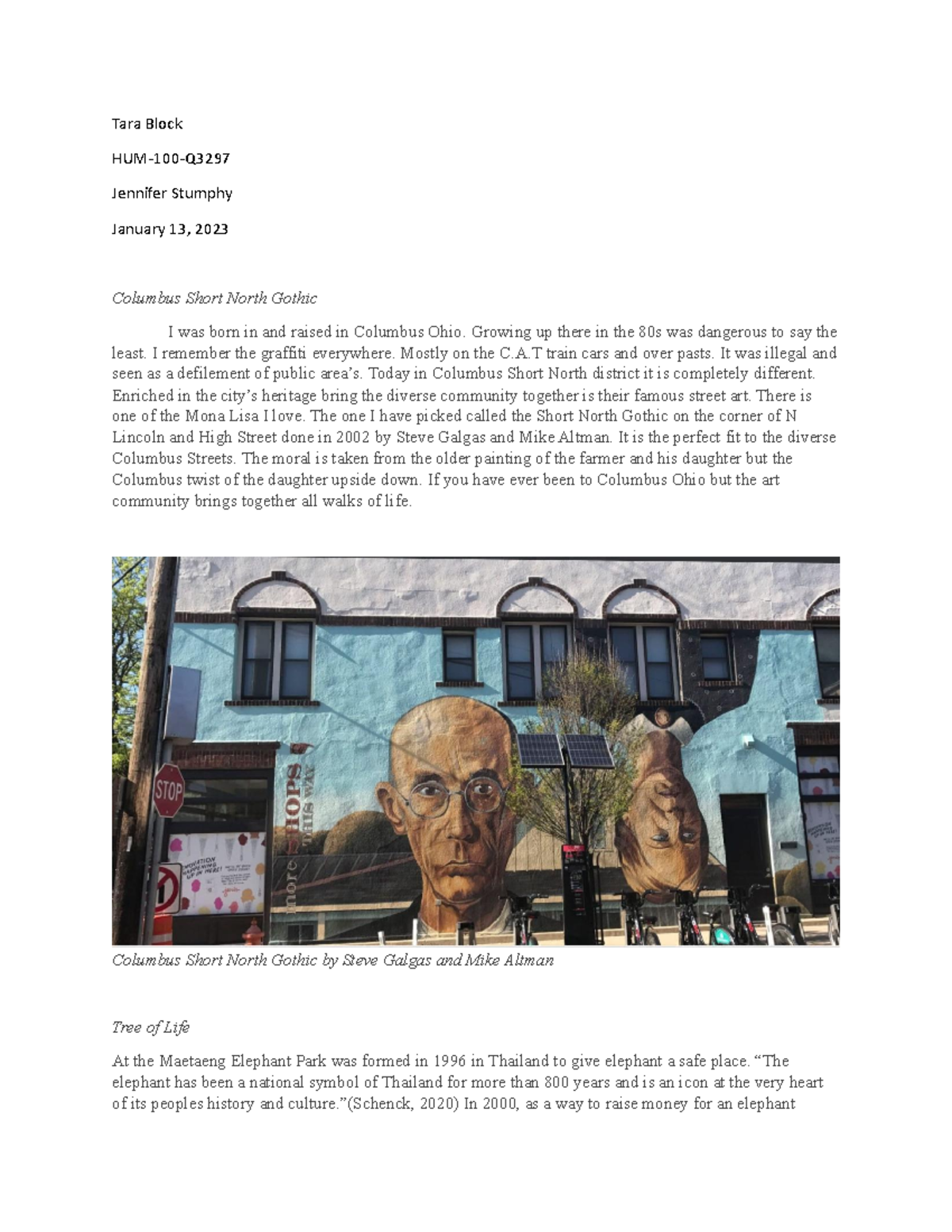 2-2 hum project - Paper on cultural factors - Tara Block HUM-100-Q ...