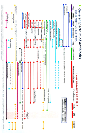 Document (14) obstetrics paper - Obstetrics paper Mcqs of obstetrics 1 ...