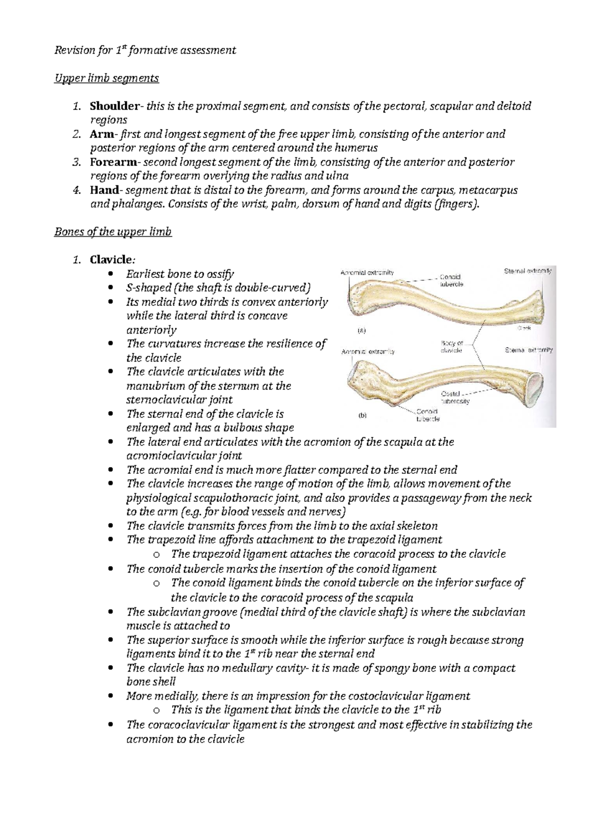 Revision for 1st formative assesment - Consists of the wrist, palm ...