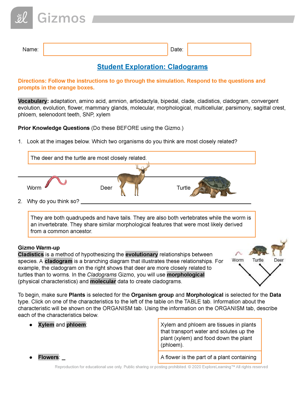 cladogram-gizmos-answers-semanario-worksheet-for-student
